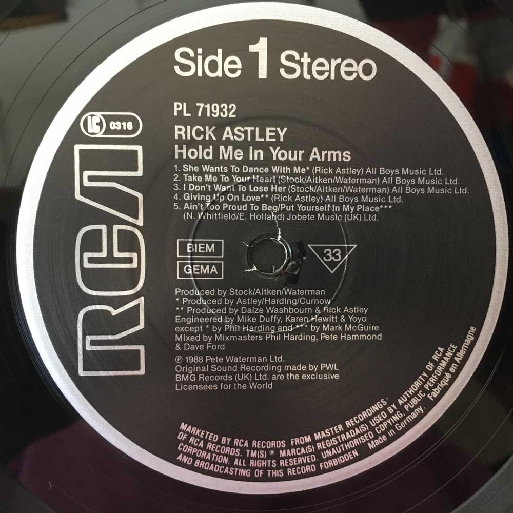 Rick Astley  Hold Me In Your Arms  LP