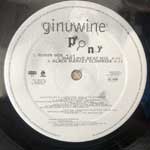 Ginuwine  Pony  (12")