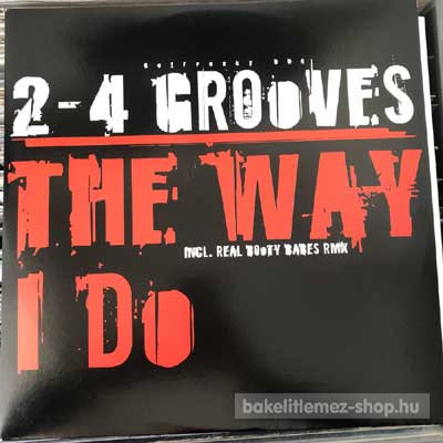 2-4 Grooves - The Way I Do  (12") (vinyl) bakelit lemez