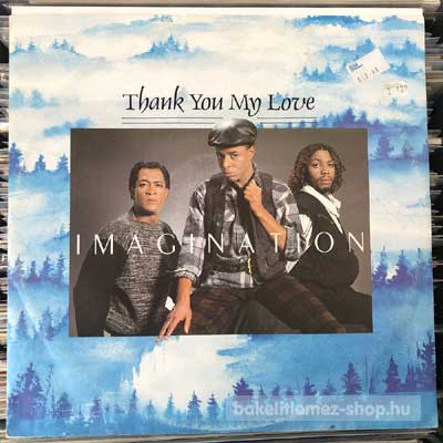 Imagination - Thank You My Love  (12") (vinyl) bakelit lemez