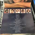 Rod Stewart  Blondes Have More Fun  (LP, Album, Gat)