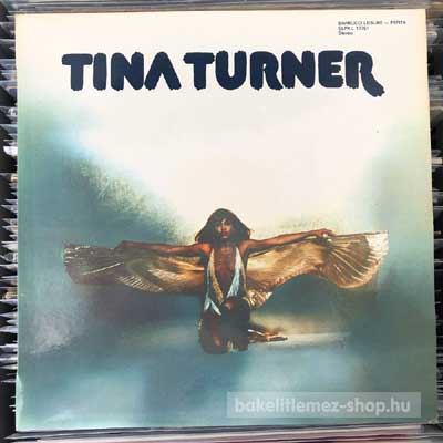 Tina Turner - Tina Turner  (LP, Comp) (vinyl) bakelit lemez