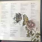 Kate bush  Never For Ever  (LP, Album)