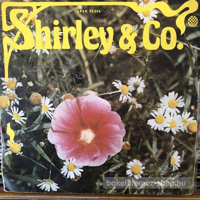 Shirley And Company - Shame, Shame, Shame  SP (vinyl) bakelit lemez