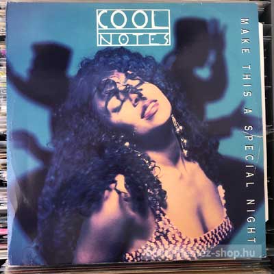 Cool Notes - Make This A Special Night  (12") (vinyl) bakelit lemez
