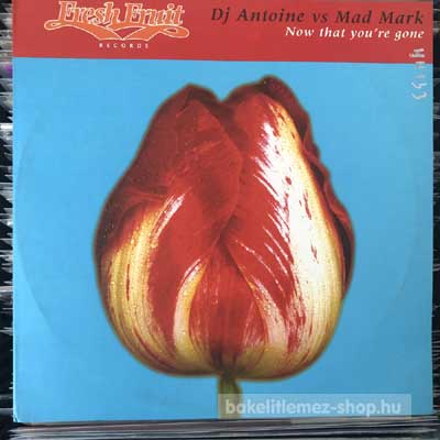 DJ Antoine vs. Mad Mark - Now That You re Gone  (12") (vinyl) bakelit lemez