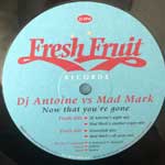 DJ Antoine vs. Mad Mark  Now That You re Gone  (12")