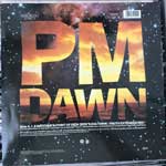 P.M. Dawn  A Watcher s Point Of View (Don t Cha Think)  (12", Maxi)