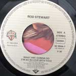 Rod Stewart  What Am I Gonna Do  (7", Single)
