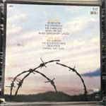 David Knopfler  Cut The Wire  (LP, Album)