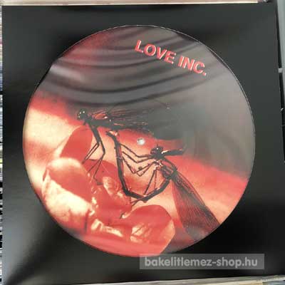 Love Inc. - How Deep Is Your Love  (12") (vinyl) bakelit lemez