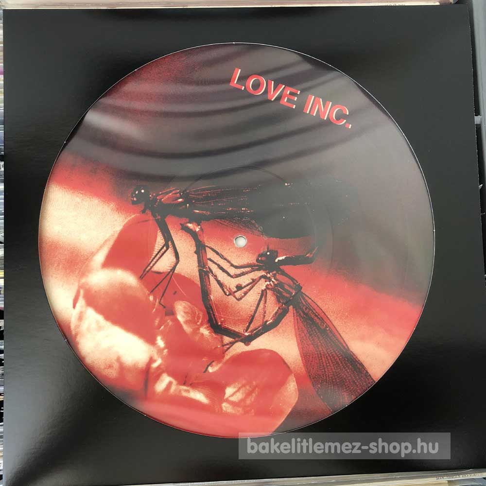 Love Inc. - How Deep Is Your Love