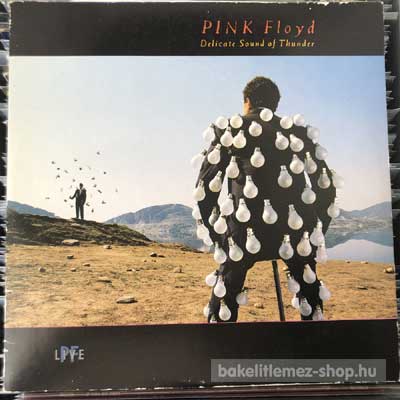 Pink Floyd - Delicate Sound Of Thunder  (DLP, Album) (vinyl) bakelit lemez