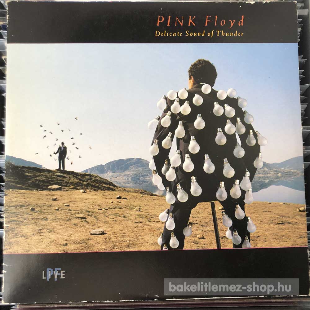 Pink Floyd - Delicate Sound Of Thunder