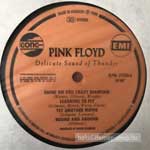 Pink Floyd  Delicate Sound Of Thunder  (DLP, Album)