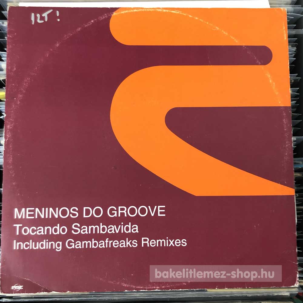 Meninos Do Groove - Tocando Sambavida