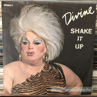 Divine - Shake It Up  (7", Single) (vinyl) bakelit lemez