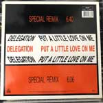 Delegation  Put A Little Love On Me (Special Remix)  (12")