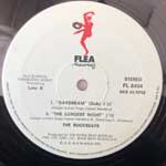 The Buckbeats  Daydream  (12", Maxi)