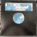 BERRi - Sunshine After The Rain 96