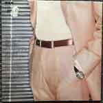 Al Stewart Live Indian Summer DLP Al Stewart Live Indian Summer DLP