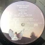 Kate bush  Never For Ever  (LP, Album)