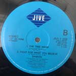 Damian  The Time Warp  (12", Single)