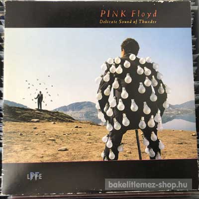 Pink Floyd Delicate Sound Of Thunder (DLP, Album) (vinyl) bakelit lemez Pink Floyd - Delicate Sound Of Thunder (DLP, Album) (vinyl) bakelit lemez
