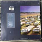 Pink Floyd  A Momentary Lapse Of Reason  (LP, Album, DMM)