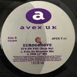 Eurogroove  It s On You (Scan Me)  (12", Single)