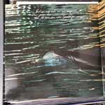 Olivia Newton-John  Physical  (LP, Album)