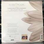 Whitney Houston  Why Does It Hurt So Bad  (12", Single)