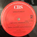 Gregory Abbott  Shake You Down (Extended Club Mix)  (12", Maxi)