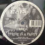 DJ BoBo  There Is A Party  (12")