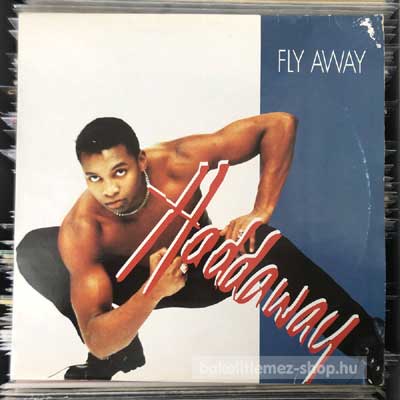 Haddaway - Fly Away  (12") (vinyl) bakelit lemez