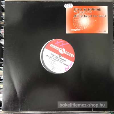 Diva Surprise feat. Georgia Jones - On The Top Of The World  (12") (vinyl) bakelit lemez