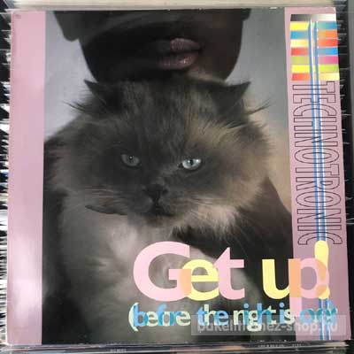 Technotronic - Get Up! (Before The Night Is Over)  (12", Maxi) (vinyl) bakelit lemez