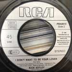 Rick Astley  Hold Me In Your Arms  (7", Single)