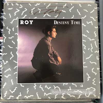 Roy - Destiny Time  (12") (vinyl) bakelit lemez