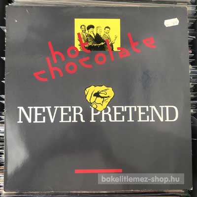 Hot Chocolate - Never Pretend  (12", Maxi) (vinyl) bakelit lemez
