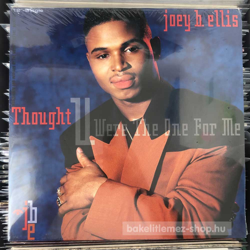 Joey B. Ellis - Thought You Were The One For Me