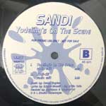 Sandi  Yodeling s On The Scene  (12", Maxi, Promo)