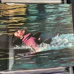 Olivia Newton-John  Physical  (LP, Album)