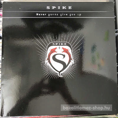 Spike - Never Gonna Give You Up  (2x12", Maxi) (vinyl) bakelit lemez