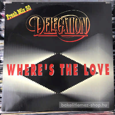 Delegation - Where s The Love (Fresh Mix 90)  (12") (vinyl) bakelit lemez