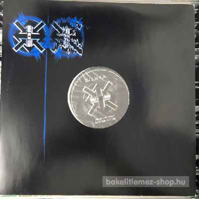 DJ Luka - From The Past Into The Future  (12") (vinyl) bakelit lemez