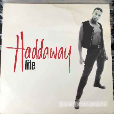 Haddaway - Life  (12", Maxi) (vinyl) bakelit lemez