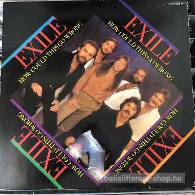 Exile - How Could This Go Wrong  (12") (vinyl) bakelit lemez
