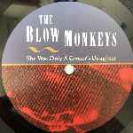 The Blow Monkeys  She Was Only A Grocer s Daughter  (LP, Album)