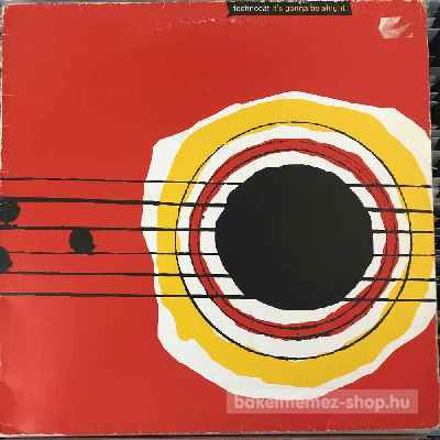 Technocat - Its Gonna Be Alright  (12") (vinyl) bakelit lemez